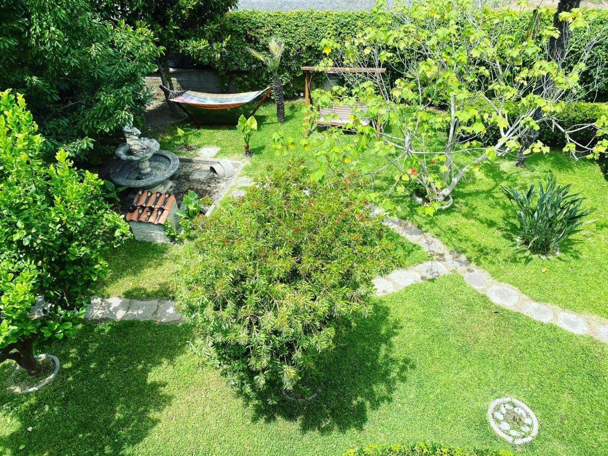 B&B Villa Dei Fiori SantʼEufemia Lamezia Buitenkant foto