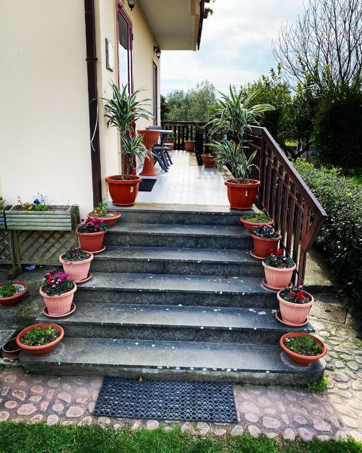 B&B Villa Dei Fiori SantʼEufemia Lamezia Buitenkant foto