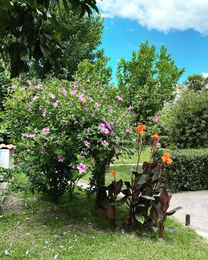 B&B Villa Dei Fiori SantʼEufemia Lamezia Buitenkant foto
