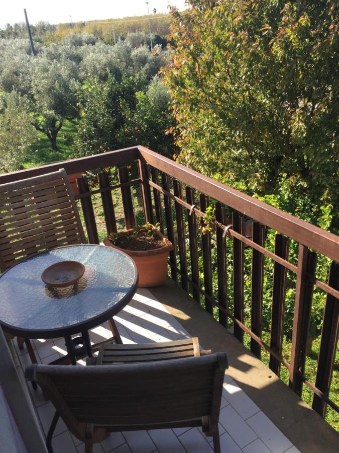 B&B Villa Dei Fiori SantʼEufemia Lamezia Buitenkant foto